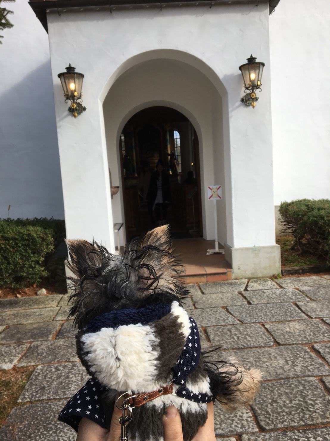 愛知県犬山市リトルワールドは犬連れで入園できる 愛犬と世界一周旅行を体験 いぬいぬどっとこむ